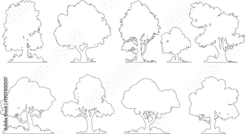 Eight outline of deciduous trees with varied shapes and sizes standing on a ground line nature plant