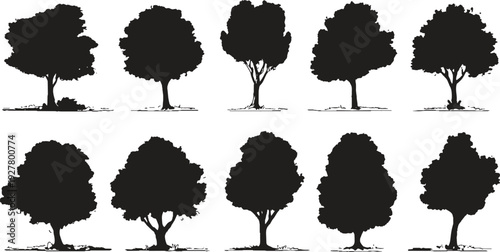 Ten black silhouette trees with detailed roots and leafy canopies on a white background nature
