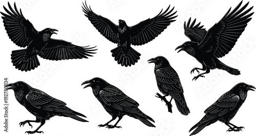 Black raven silhouettes set featuring various species of crows in flying and perched poses isolated on white background for spooky and nature designs