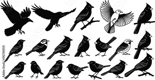 Black bird silhouettes set featuring various species of songbirds and crows in flying and perched poses isolated on white background for nature designs