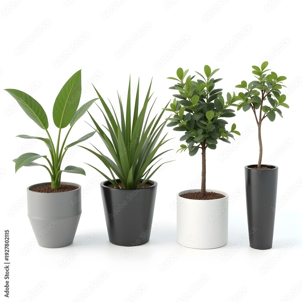 Fototapeta premium Four distinct potted plants in varying pot colors and styles.