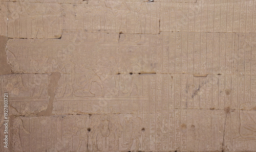 Wallpaper Mural Old torn cardboard paper texture with layered damaged surface Torontodigital.ca