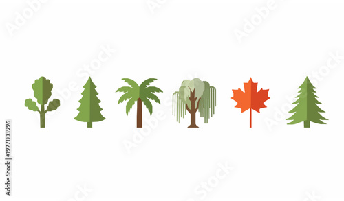 red maple leaf Popular Tree Species Flat Design Icon Collection with Oak Pine Palm Maple and Fir Vector