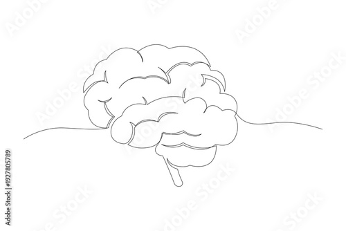 human brain vector illustration