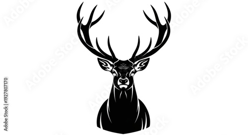 Deer Head with Large Antlers.