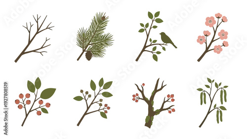 Collection of Various Nature-Inspired Branches and Leaves for Design Projects