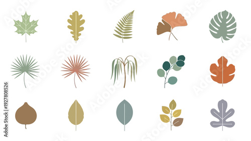 Collection of Various Nature-inspired Leaf and Plant Icons in Minimalist Design for Botanical and