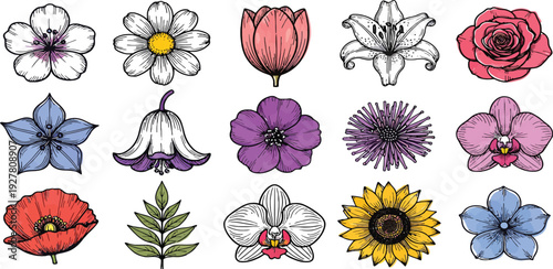 Set of 12 colorful flower icons vector