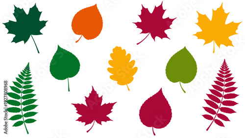 Colorful assortment of fall leaves in various shapes and vibrant hues for autumn decoration
