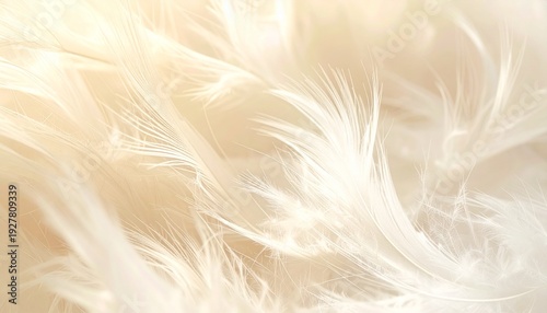 ゴールドのキラキラ背景