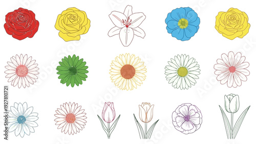 Elegant Arrangement of Colorful Illustrative Flowers in Diverse Styles and Varieties