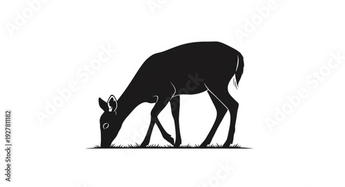 Deer Silhouette Grazing on Grass.