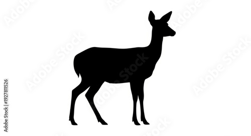 Deer Silhouette Standing Alone.