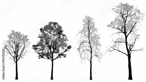 A collection of grayscale trees against a plain white background