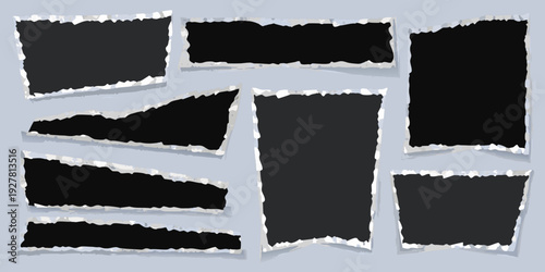 Collection of torn paper scraps against a light blue background