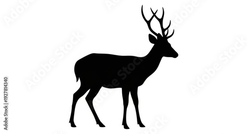 Deer Silhouette with Antlers Standing.