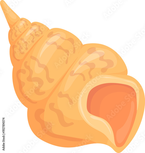 Tulip conch cartoon icon. Exotic fauna symbol