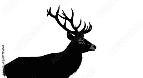 Deer Silhouette with Large Antlers.