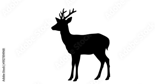 Deer Silhouette with Antlers Standing.
