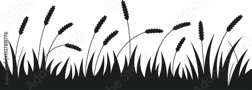 Black silhouette of wheat stalks and grass blades against a white background field nature