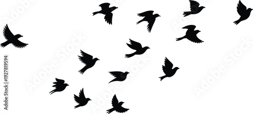 Flock of Black Bird Silhouettes Flying in Formation Against White Background birds flight