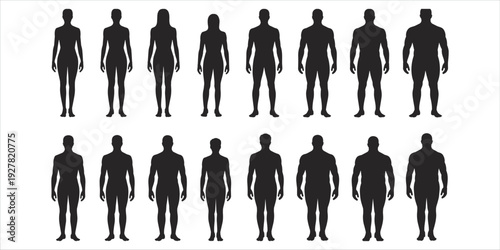 Silhouettes of Men and Women Showing Different Body Types and Statures human figure