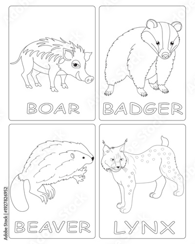Black and white drawings for children's coloring. illustrations of wild animals  creatures. image of boar, badger, beaver, lynx. vector graphics for kids education.