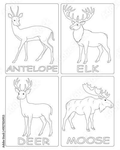 Black and white drawings for children's coloring. illustrations of wild animals  creatures. image of antelope, elk, deer, moose. vector graphics for kids education.
