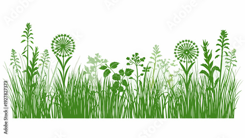 A lush green botanical illustration of various wildflowers and grasses