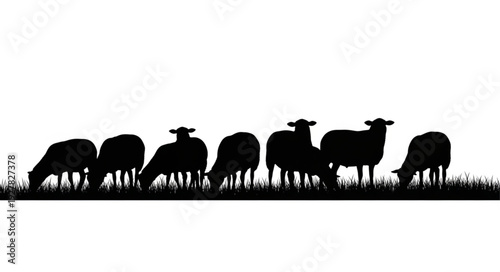 Group of Sheep Grazing Silhouettes.