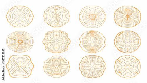 Collection of orange tree stump cross sections in a grid pattern