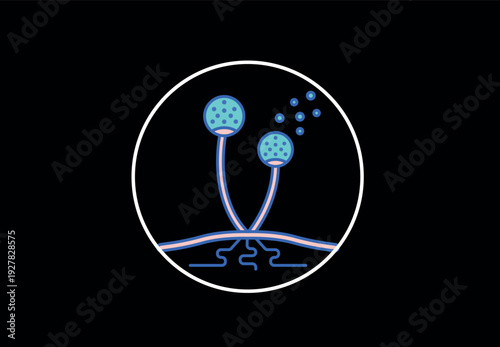 Mushroom illustration set. Fungal, fungi art.