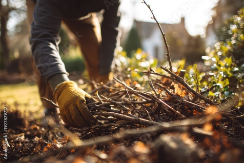 Outdoor garden cleanup with fallen tree branches