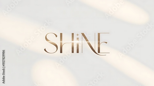 Minimal Luxury SHINE Logo on White Background
