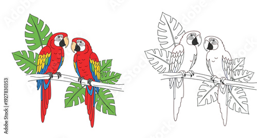 Fotografie Colorful Red Macaw Parrots on Branch with Tropical Monstera Leaves