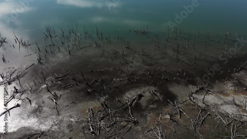 Cinematic aerial flight over Lake Doiran in northern Greece during autumn showing exposed dead trees and low shoreline vegetation under clear blue skies , tilt up shot revealing the horizon