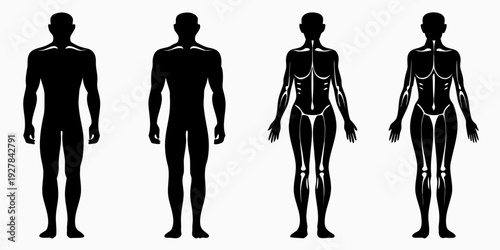 Four human silhouettes displaying front and back anatomy male and female