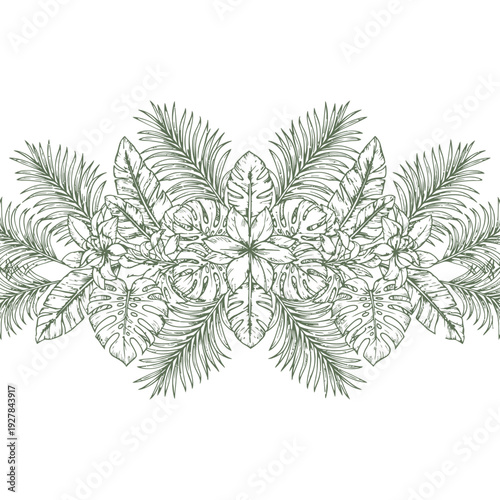 Hand drawn tropical leaves illustration with palm fronds and monstera leaves on white background.