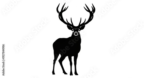 Majestic Deer with Large Antlers Standing.