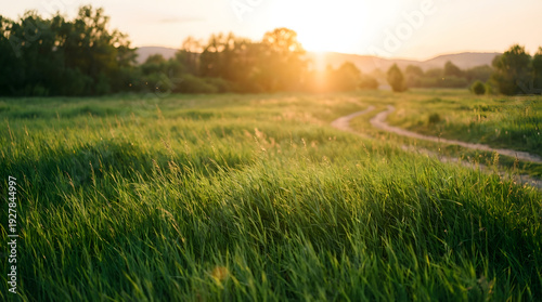 Campo dorado con puesta de sol atardecer naturaleza rural