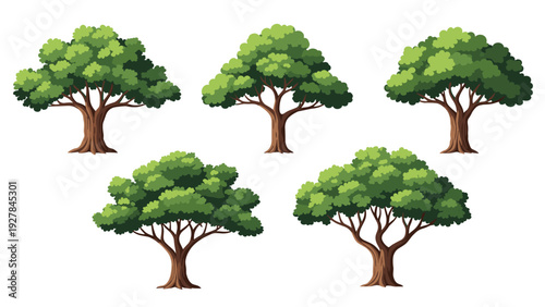 Collection of five distinct green leafy trees with thick brown trunks and wide branches for nature and environment concepts.