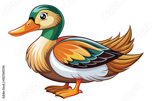 Cartoon mallard duck with green head and orange beak on white background bird illustration