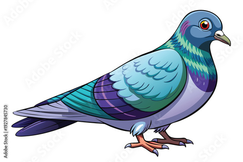 Cartoon pigeon bird with blue green and purple feathers on white background animal wildlife