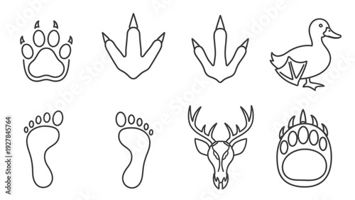 Collection of diverse animal and human footprints icons and animal head