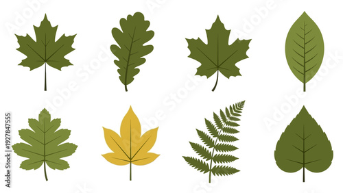 Collection of stylized autumn leaves and foliage in various green and yellow hues