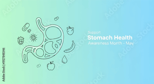 Digestive system anatomy with stomach health concept and food icons on gradient background