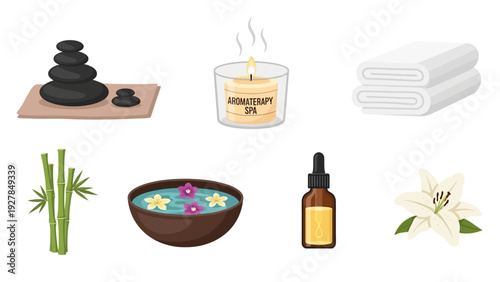 Illustration Of Spa Wellness Objects Including Stones Bamboo Flowers And Essential Oil Bottle