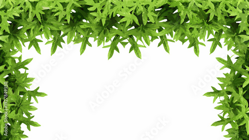 Green leaves create a natural frame around a blank white space