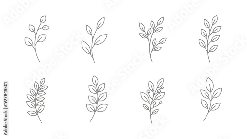 Minimalist line art collection of various delicate plant branches and leaves