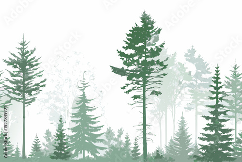 A serene illustration depicts various shades of evergreen trees in a forest